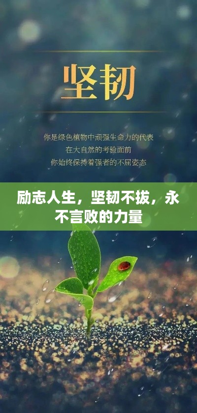 励志人生,坚韧不拔,永不言败的力量