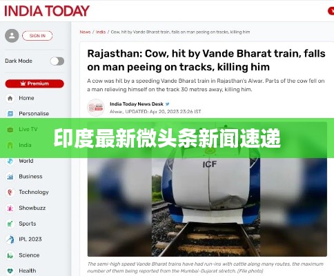 印度最新微头条新闻速递
