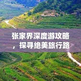 张家界深度游攻略,探寻绝美旅行路线