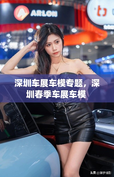 深圳车展车模专题,深圳春季车展车模