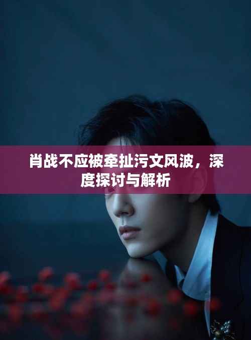 肖战不应被牵扯污文风波,深度探讨与解析
