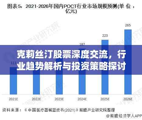 克莉丝汀股票深度交流,行业趋势解析与投资策略探讨