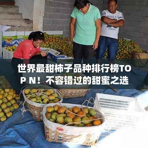 世界最甜柿子品种排行榜TOP N！不容错过的甜蜜之选