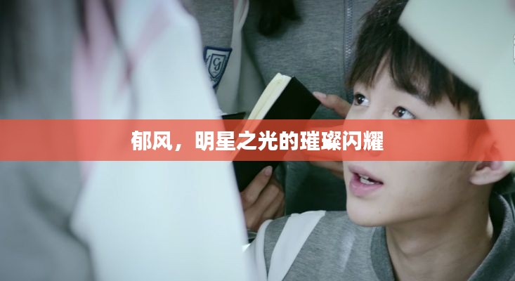 郁风,明星之光的璀璨闪耀