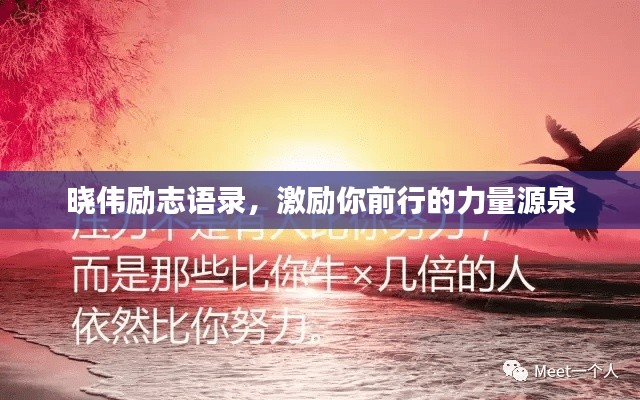 晓伟励志语录,激励你前行的力量源泉