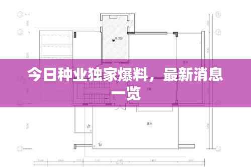 今日种业独家爆料,最新消息一览