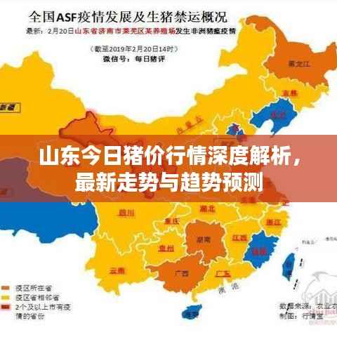 山东今日猪价行情深度解析,最新走势与趋势预测