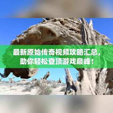最新原始传奇视频攻略汇总,助你轻松登顶游戏巅峰!
