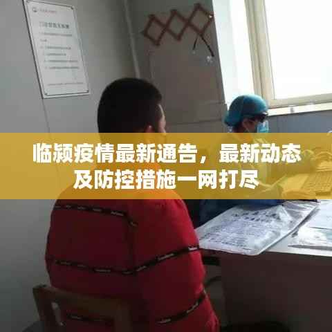 临颍疫情最新通告,最新动态及防控措施一网打尽